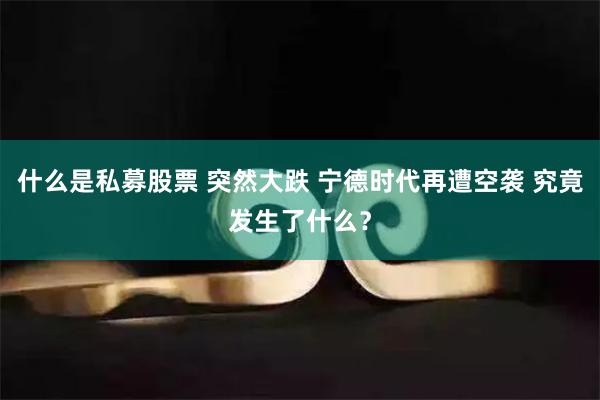 什么是私募股票 突然大跌 宁德时代再遭空袭 究竟发生了什么？