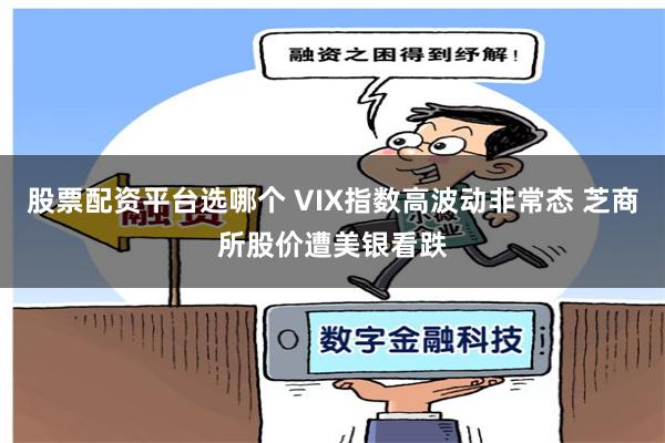 股票配资平台选哪个 VIX指数高波动非常态 芝商所股价遭美银看跌